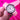 Baby Pink Alligator Classic Straps - Zeniovn