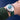 Green Sailcloth Classic Strap - Zeniovn