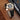 Matte Black Alligator Strap for Patek Phillipe Nautilus 5711/5712 - Zeniovn