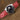 Red Nubuck Ostrich Leather Straps for Panerai Luminor - Zeniovn