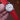 Red Sailcloth Classic Strap (Copy) - Zeniovn